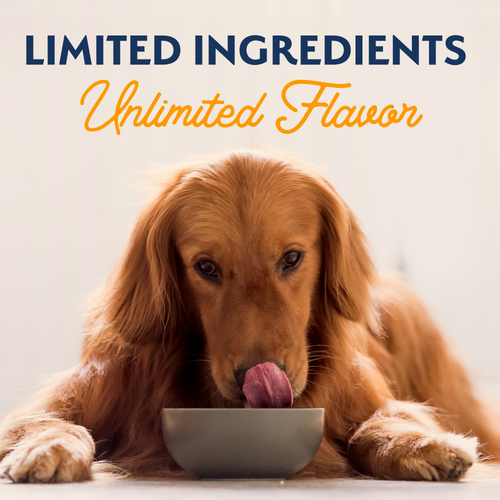 Natural Balance Limited Ingredient Reserve Wet Dog Food, Duck & Potato Recipe