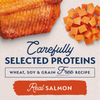 Natural Balance Limited Ingredient Wet Dog Food, Sweet Potato & Salmon Recipe