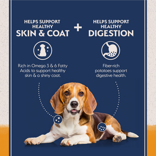 Natural Balance Limited Ingredient Reserve Grain Free Dry Dog Food, Duck & Potato Recipe