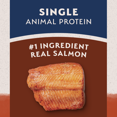 Natural Balance Limited Ingredient Grain Free Dry Dog Food, Salmon & Sweet Potato Recipe