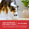 One Chicken and Rice Dry Dog Food