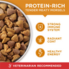 One Chicken and Rice Dry Dog Food