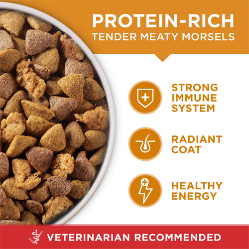 One Chicken and Rice Dry Dog Food