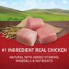 One Chicken and Rice Dry Dog Food