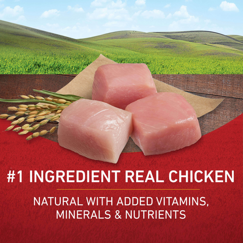One Chicken and Rice Dry Dog Food