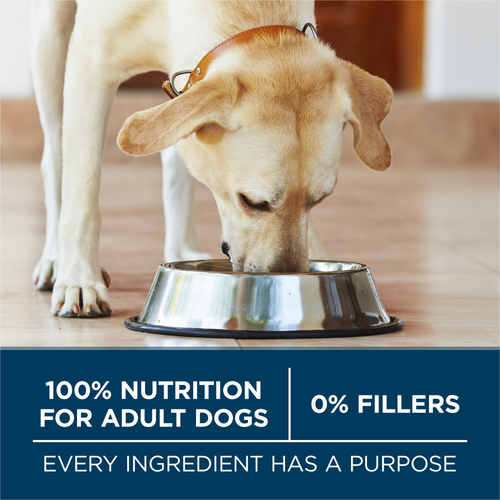 Purina One Large Breed Dry Dog Food