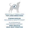 One Large Breed Dry Dog Food
