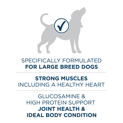 One Large Breed Dry Dog Food