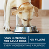 One Large Breed Dry Dog Food