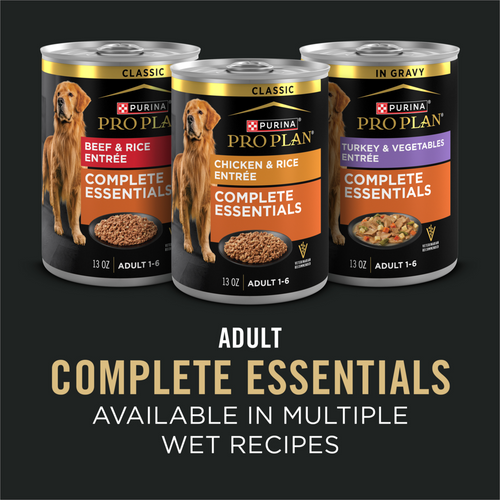 ProPlan Shredded Blend Chicken and Rice Dry Dog Food