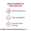 Royal Canin Feline Health Nutrition Sensitive Digestion Dry Cat Food