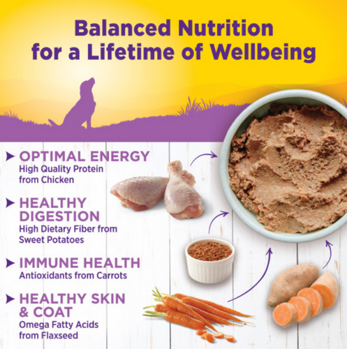 Wellness Complete Health Natural Senior Health Chicken and Sweet Potato Recipe Wet Canned Dog Food