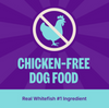 Wellness CORE Natural Grain Free Ocean Whitefish, Herring & Salmon Recipe Dry Dog Food