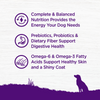 Wellness Complete Health Natural Adult Whitefish and Sweet Potato Recipe Dry Dog Food