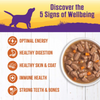 Wellness Natural Turkey Stew with Barley and Carrots Wet Canned Dog Food