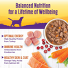 Wellness Natural Turkey Stew with Barley and Carrots Wet Canned Dog Food