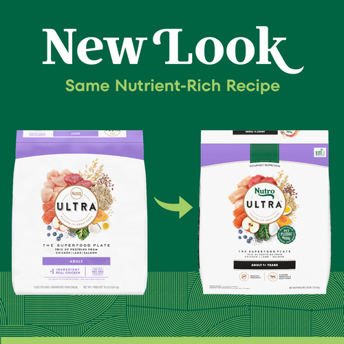 Nutro Ultra Adult Dry Dog Food