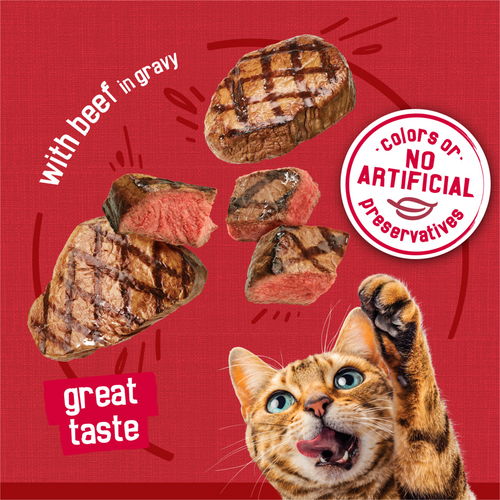 Purina Friskies Prime Filets Beef in Gravy Wet Cat Food