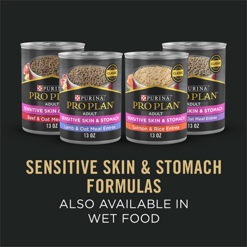 ProPlan Sensitive Skin & Stomach Salmon and Rice Dry Dog Food