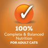 Friskies Indoor Chicken Dinner Pate Wet Cat Food