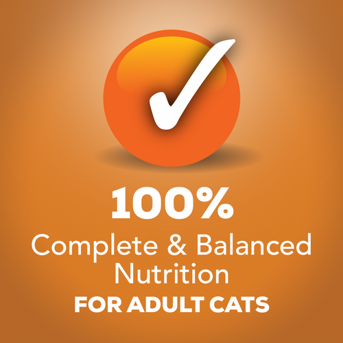 Friskies Indoor Chicken Dinner Pate Wet Cat Food