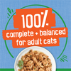 Friskies Indoor Flaked Ocean Whitefish Wet Cat Food