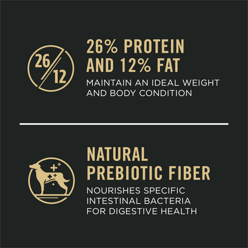 ProPlan Chicken and Rice Large Breed Adult Dry Dog Food