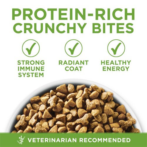 One Indoor Advantage Dry Cat Food