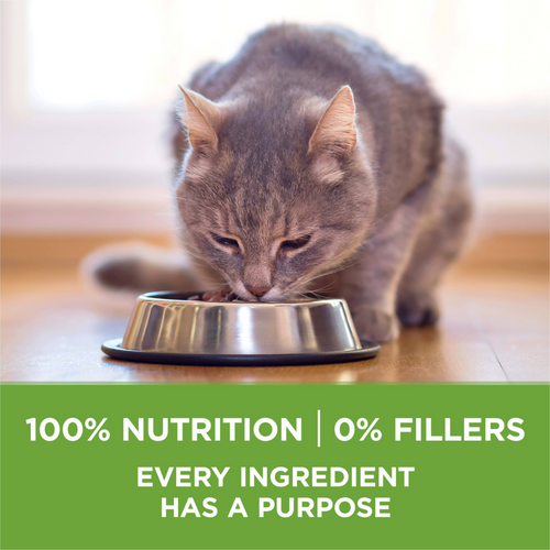 One Indoor Advantage Dry Cat Food