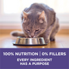 One Hairball Control Dry Cat Food