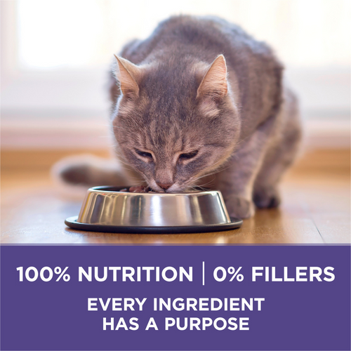 One Hairball Control Dry Cat Food