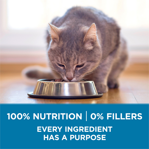 One High Protein Senior 7+ Dry Cat Food
