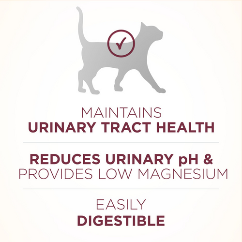 One Urinary Tract Health Dry Cat Food