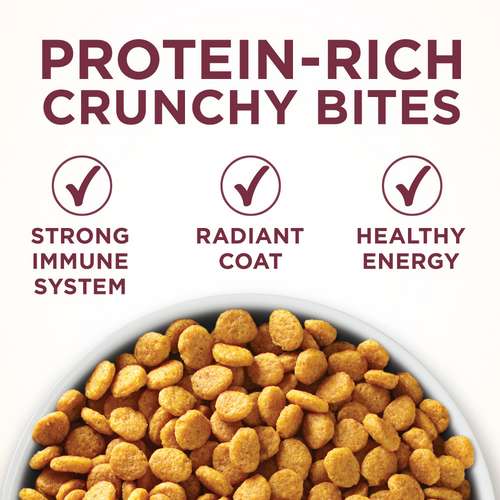 One Urinary Tract Health Dry Cat Food