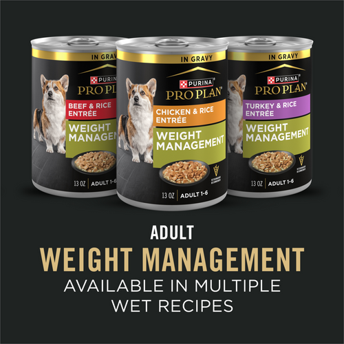ProPlan Weight Management Chicken and Rice Dry Dog Food