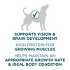 One Large Breed Dry Puppy Food