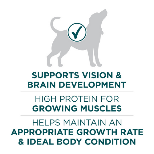 One Large Breed Dry Puppy Food