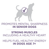 One SmartBlend Vibrant Maturity Senior 7+ Dry Dog Food