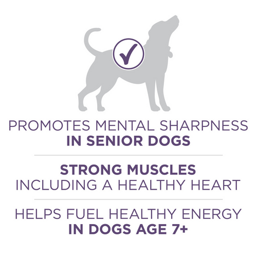 One SmartBlend Vibrant Maturity Senior 7+ Dry Dog Food