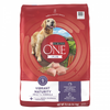 Purina One SmartBlend Vibrant Maturity Senior 7+ Dry Dog Food