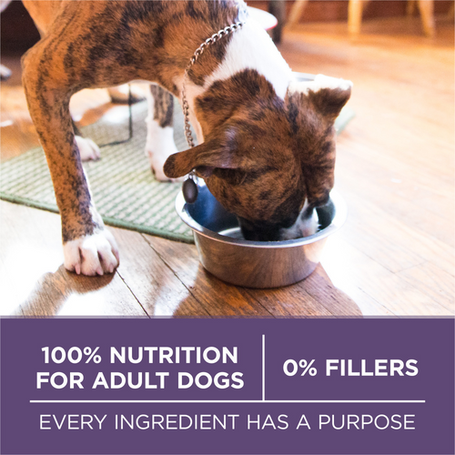 Purina One SmartBlend Vibrant Maturity Senior 7+ Dry Dog Food
