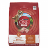 One SmartBlend Healthy Weight Turkey Dry Dog Food