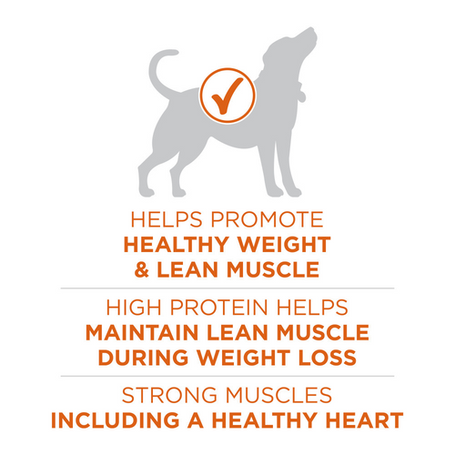 One SmartBlend Healthy Weight Turkey Dry Dog Food
