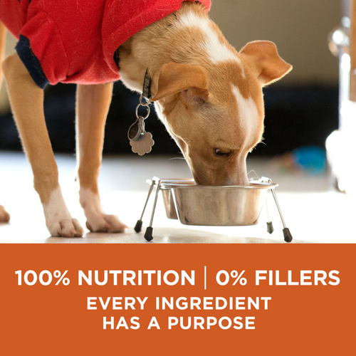 One SmartBlend Healthy Weight Turkey Dry Dog Food