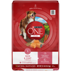 One Plus Skin & Coat Dry Dog Food