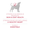 One Plus Skin & Coat Dry Dog Food