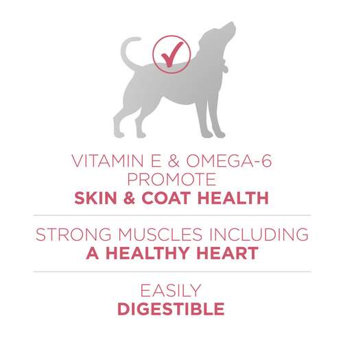 One Plus Skin & Coat Dry Dog Food