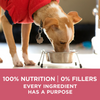 One Plus Skin & Coat Dry Dog Food
