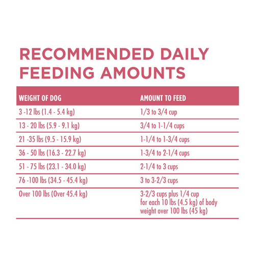One Plus Skin & Coat Dry Dog Food