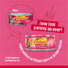 Friskies Prime Filets Salmon & Beef in Sauce Wet Cat Food